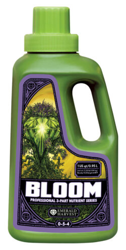 Emerald Harvest Bloom Quart