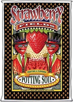 Fox Farm 733266 Soil, Strawberry Fields Potting