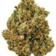 Laughing Buddha Feminised Seeds – 5