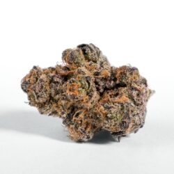 Peanut Butter Breath Feminised